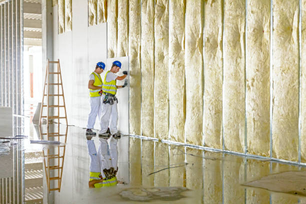 Best Insulation Maintenance and Repair in Chandler, IN